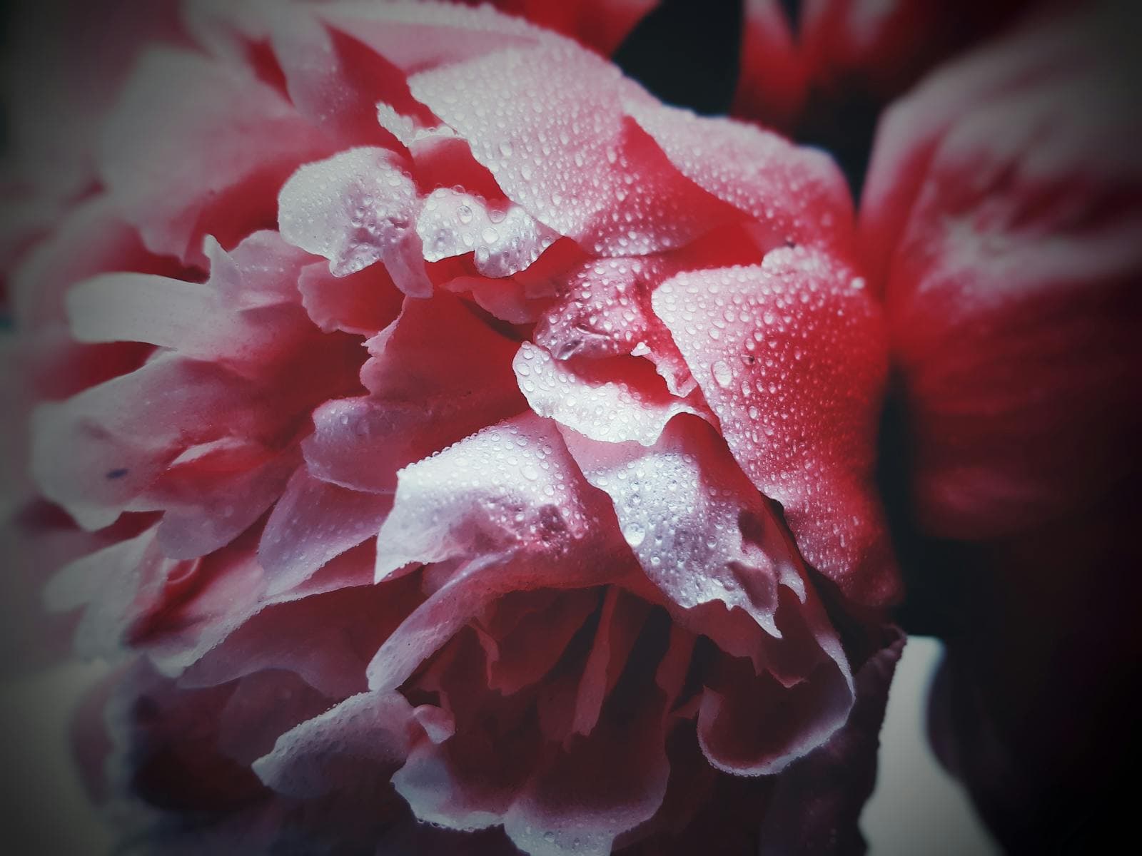 Depo ekibi stok kontrolü yapıyor